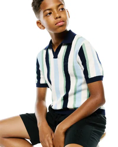Psycho Bunny Kids Wren Stripe Knit Polo In Multi