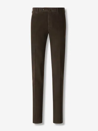 Pt Torino Bermuda Shorts In Green