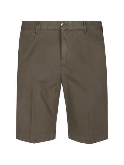 Pt Torino Button-fastening Pleated Cotton Shorts In Multi