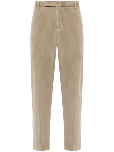 Pt Torino Corduroy Trousers In Brown