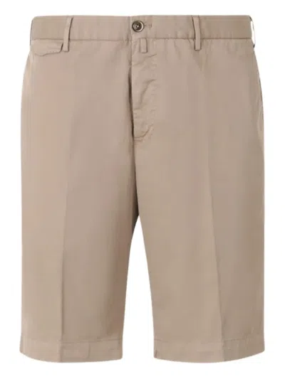Pt Torino Cotton Bermuda Shorts