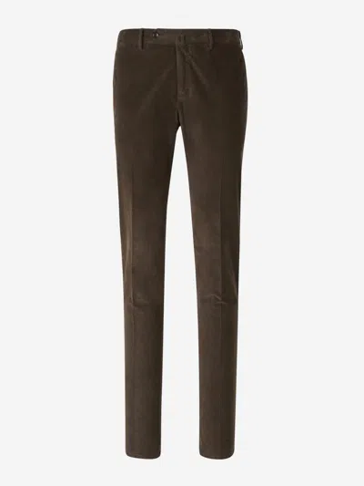 Pt Torino Formal Micropana Cotton Trousers In Brown