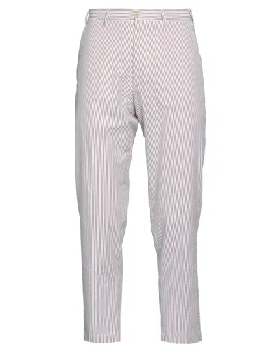 Pt Torino Pants In Brown