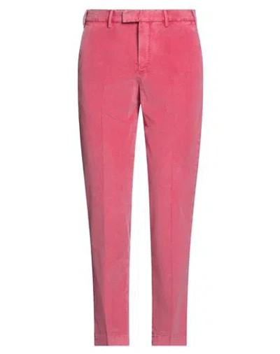 Pt Torino Man Pants Magenta Size 36 Cotton, Lyocell, Elastane