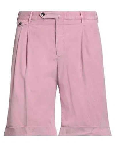 Pt Torino Man Shorts & Bermuda Shorts Pink Size 36 Cotton, Elastane