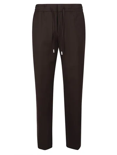 Pt Torino Erika Pant In Brown