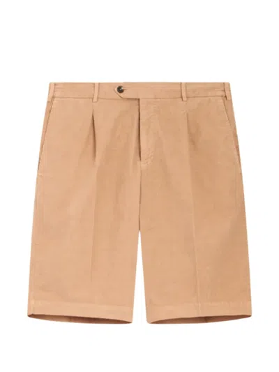 Pt Torino Pleated Tailored Shorts In Brown