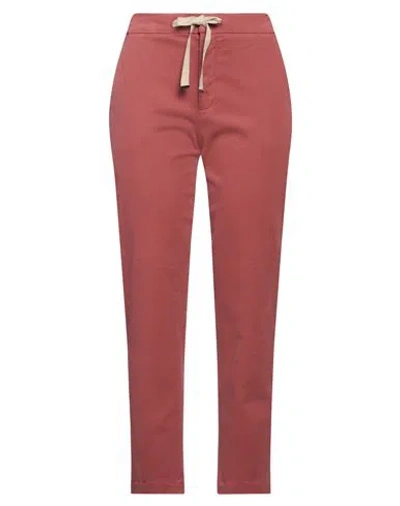 Pt Torino Woman Pants Antique Rose Size 8 Modal, Cotton, Elastane In Brown