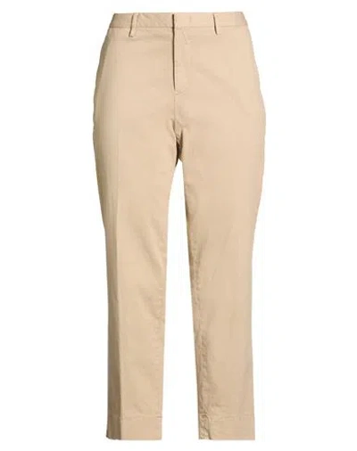 Pt Torino Woman Pants Beige Size 12 Cotton, Elastane In Neutral