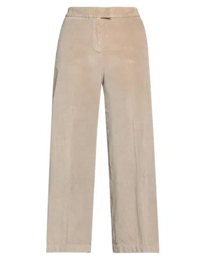 Pt Torino Woman Pants Beige Size 6 Cotton, Lyocell, Elastane In Neutral