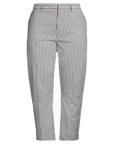 Pt Torino Woman Pants Blue Size 12 Cotton, Elastane