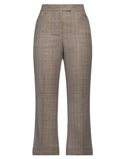 Pt Torino Woman Pants Brown Size 4 Virgin Wool
