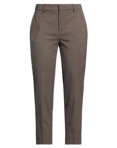 Pt Torino Woman Pants Brown Size 8 Virgin Wool, Elastane