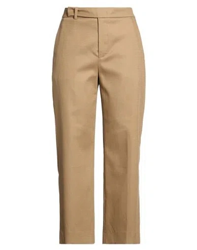 Pt Torino Woman Pants Camel Size 6 Cotton, Elastane In Brown
