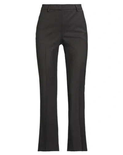 Pt Torino Woman Pants Dark Brown Size 12 Virgin Wool, Elastane