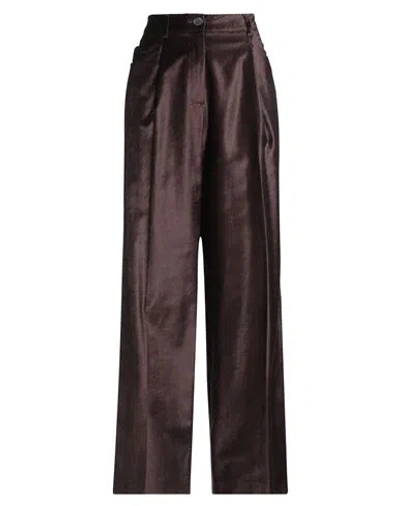 Pt Torino Woman Pants Dark Brown Size 8 Cotton, Lyocell, Elastane