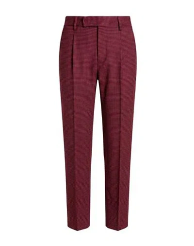 Pt Torino Woman Pants Magenta Size 10 Virgin Wool, Elastane In Purple
