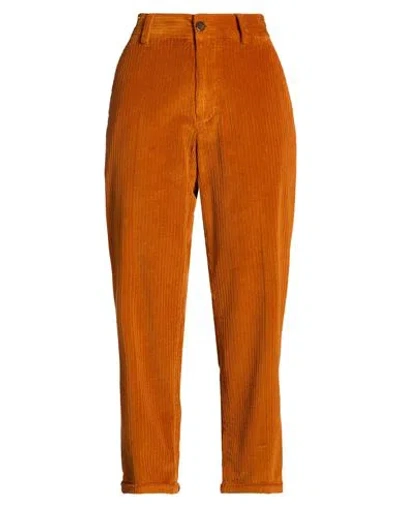 Pt Torino Woman Pants Mandarin Size 26 Cotton, Elastane In Orange