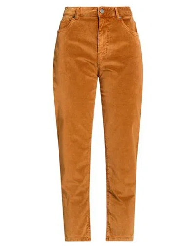 Pt Torino Woman Pants Mandarin Size 29 Cotton, Lyocell, Elastane In Orange