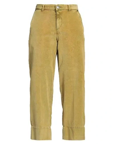 Pt Torino Woman Pants Mustard Size 25 Cotton, Lyocell, Elastane In Brown