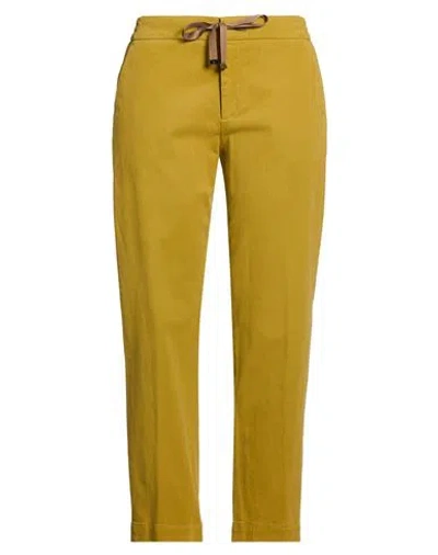 Pt Torino Woman Pants Mustard Size 6 Modal, Cotton, Elastane In Yellow