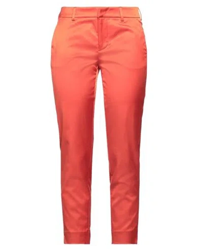 Pt Torino Woman Pants Rust Size 12 Cotton, Viscose, Elastane In Red