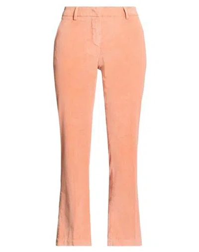 Pt Torino Woman Pants Salmon Pink Size 4 Cotton, Elastane