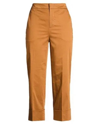Pt Torino Woman Pants Tan Size 10 Cotton, Elastane In Brown