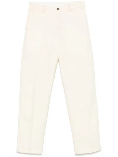 Pt01 Co. Asjdb00fwd. Sd52 In Beige
