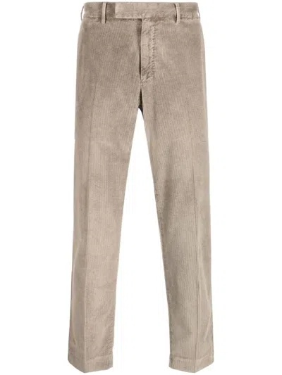 Pt01 Wide Ribbed Velvet Trousers With Tailored Pleats And Flap Pockets In Gray