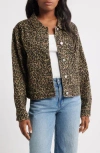 Ptcl Leopard Print Denim Trucker Jacket In Brown
