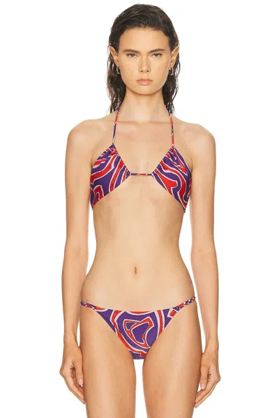 Pucci Bra Bikini Top In Multi