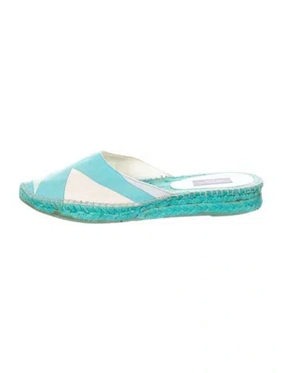 Pre-owned Pucci Canvas Patterned Espadrilles In Blue