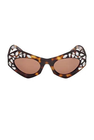 Pucci Cat Eye Sunglasses