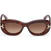 Pucci Emilio  52mm Geometric Sunglasses In Brown