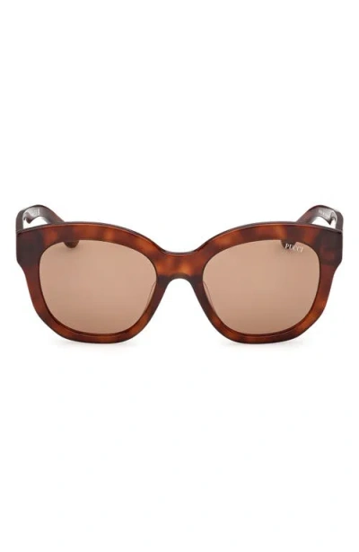 Pucci Emilio  53mm Geometric Sunglasses In Brown