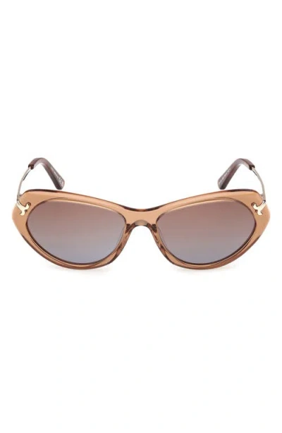 Pucci Emilio  56mm Geometric Sunglasses In Brown
