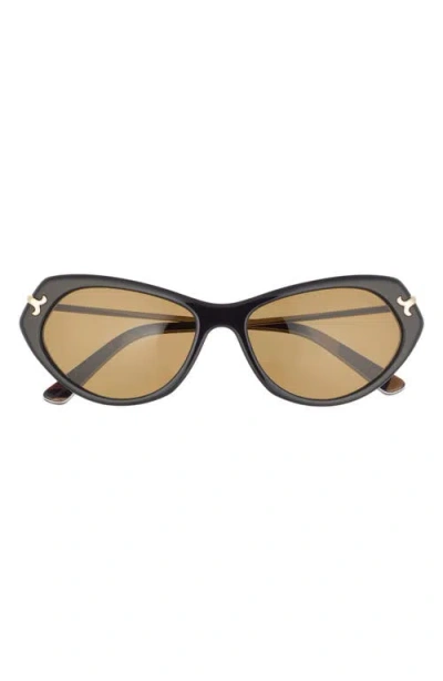 Pucci Emilio  56mm Geometric Sunglasses In Brown