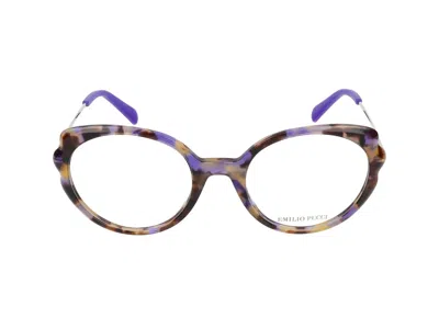 Pucci Eyeglasses In Colored Havana