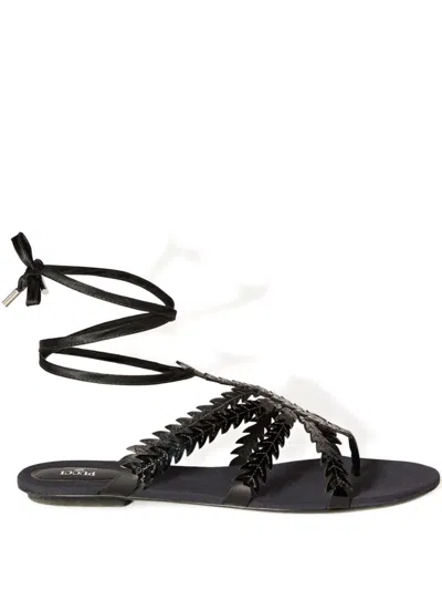 Pucci Feather Embellished Sandals In Black