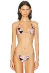 Pucci Lycra Triangle Bikini Bra Top In Pink