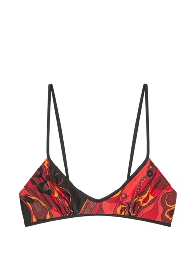 Pucci Orchidee-print Bikini Top In Black