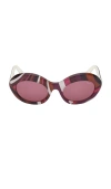 Pucci Acetate Sunglasses In Purple