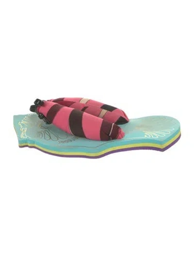 Pre-owned Pucci Striped Flip Flops In Multicolor
