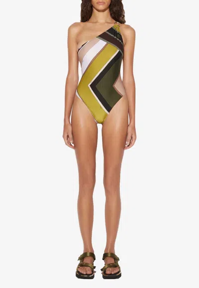 Pucci Vivara Print One-piece Swimsuit In Multicolor