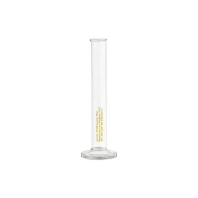 Puebco Single Flower Vase In Clear