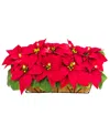 Puleo 24" Pre-lit Artificial Red Poinsettia Window Box Decor In Multi