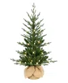Puleo 3' Pre-lit Artificial Christmas Tree In Burlap Sac Base In Green