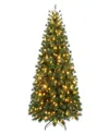 Puleo 6.5' Pre-lit Artificial Colorado Pine Christmas Tree With Dual Function Led Lights In Green