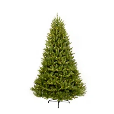 Puleo International 9 Ft. Pre-lit Franklin Fir Artificial Christmas Tree With 1000 Clear Ul Listed Lights In Green